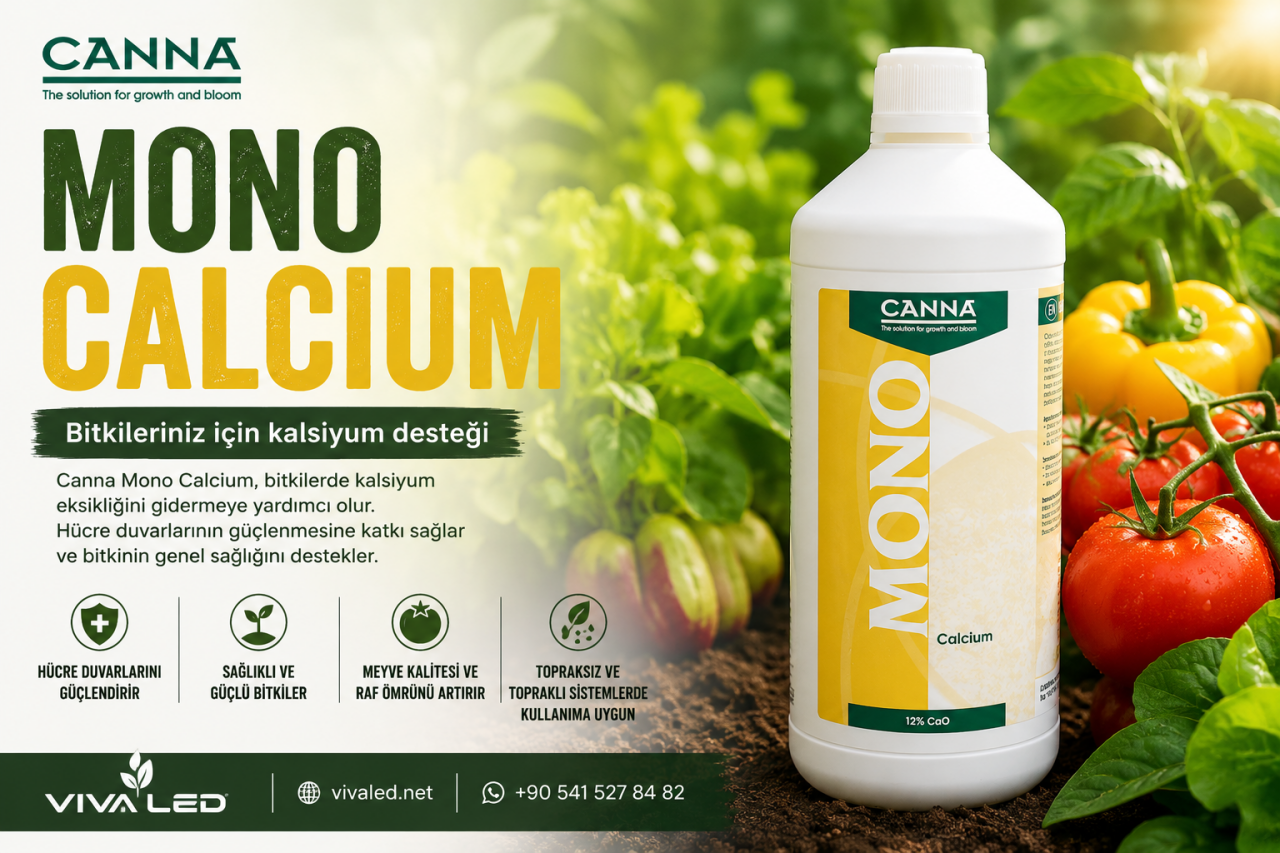 CANNA MONO FOSFOR NEDİR? BİTKİ GELİŞİMİNDE FOSFORUN ÖNEMİ