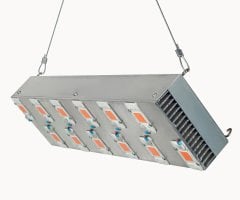 600W Full Spectrum Cob Led