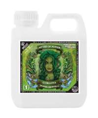 Terra Power Gorgona Growth B 500 ml
