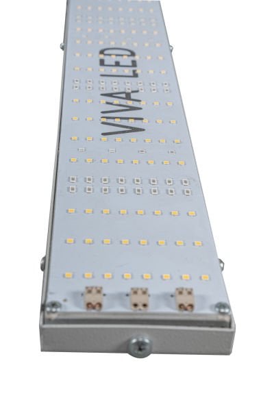 240W Samsung Line Quantum Board