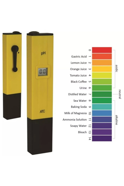 pH Metre