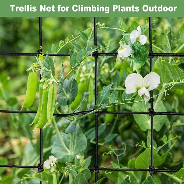 Kalın Scrog Filesi 150x300