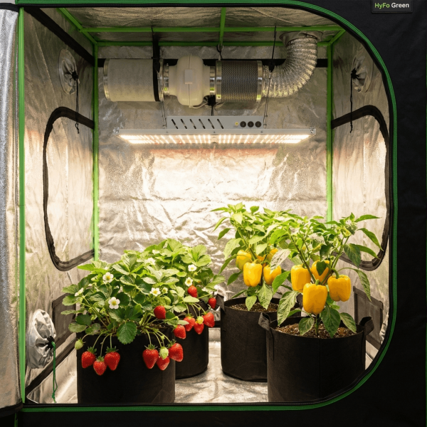 100x100x200 Advanced Nutrients Hazır Kabin Set