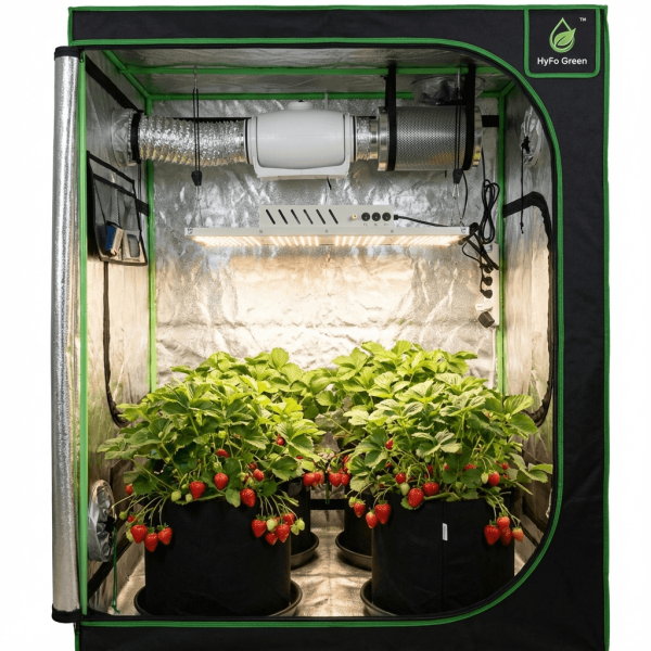 100x100x200 Canna Hazır Kabin Set