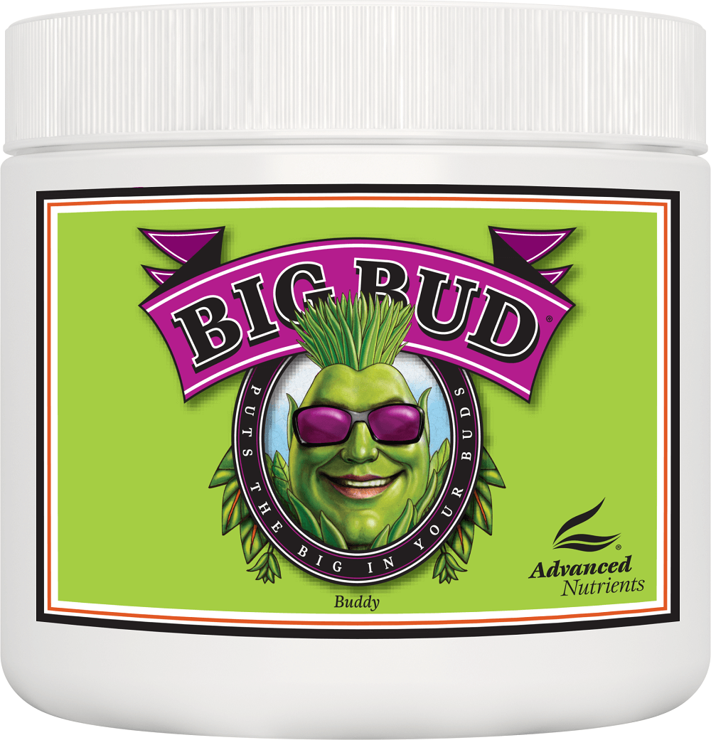 Big Bud Powder Toz Form Çiçeklenme Desteği 1 KG