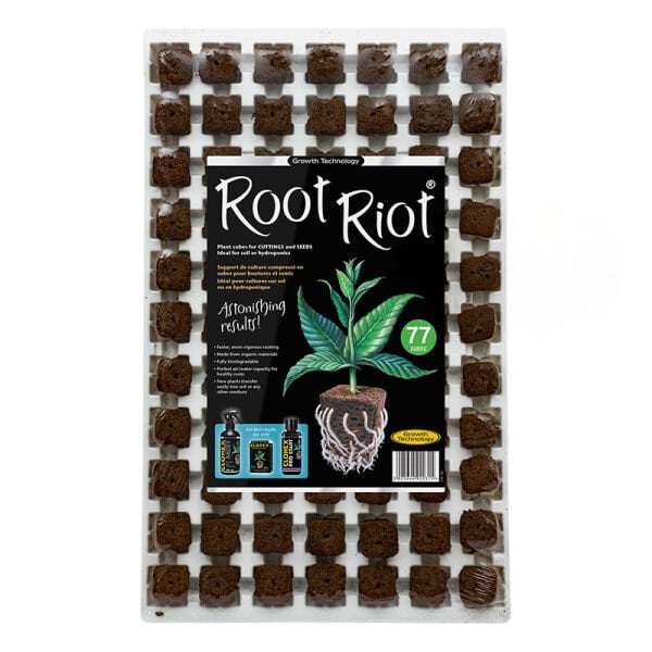 Root Riot Plant Starter Cubes Köklenme ve Fide Başlangıç Küpleri 77 Adet